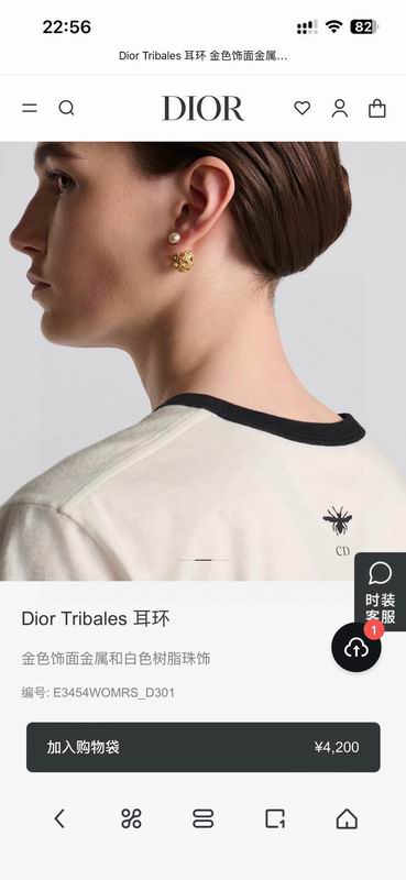 Dior Earring 05yxh137 (6)