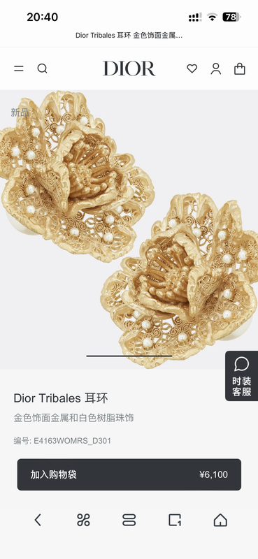 Dior Earring 05yxh144 (3)
