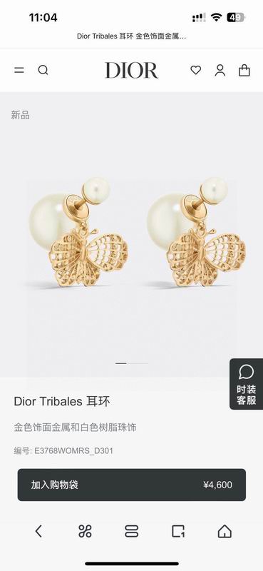 Dior Earring 05yxh152 (2)