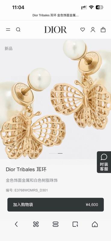 Dior Earring 05yxh152 (3)