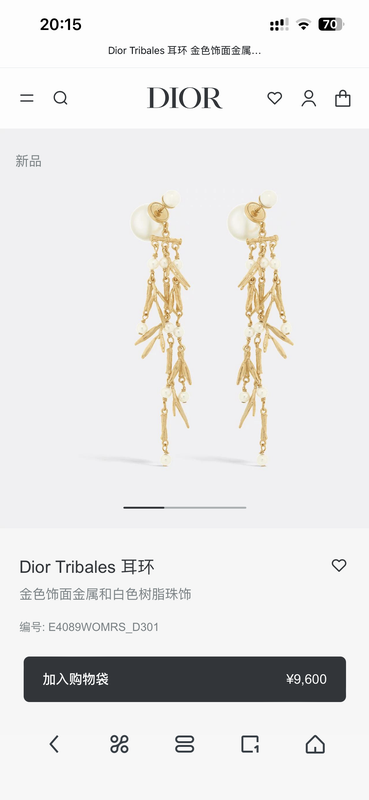 Dior Earring 05yxh161 (3)