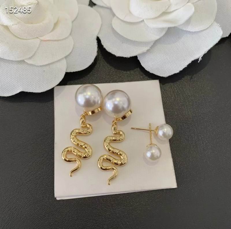 Dior Earring 05yxh17 (1)