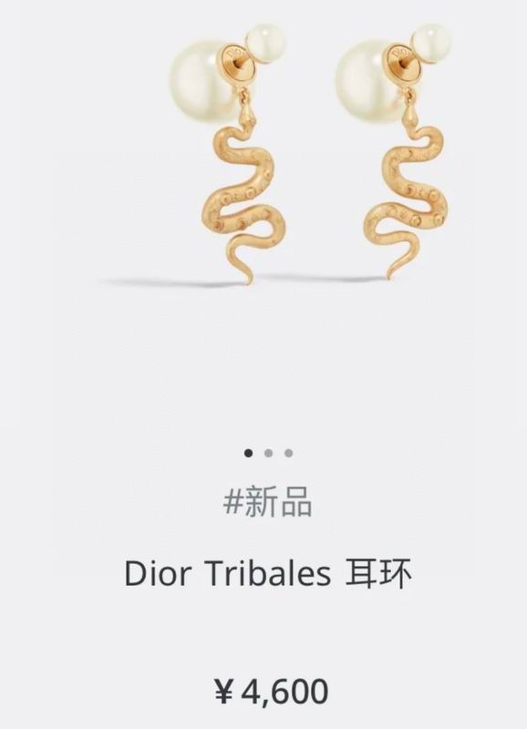 Dior Earring 05yxh17 (2)