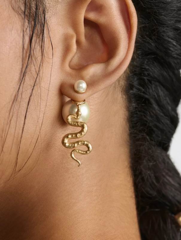 Dior Earring 05yxh17 (4)