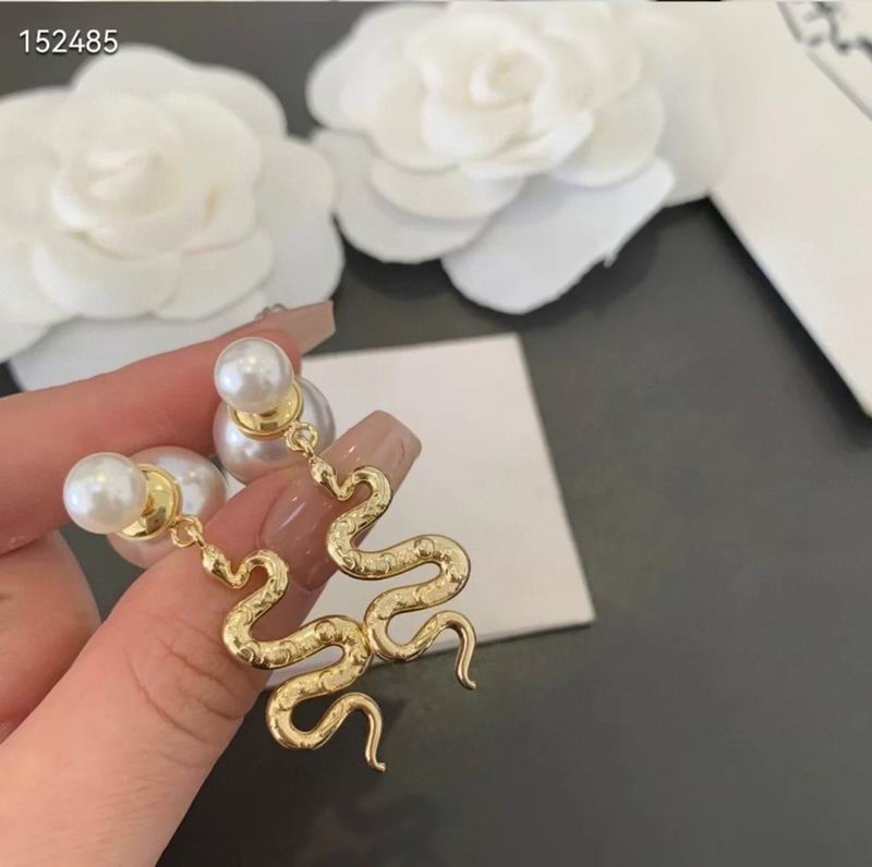 Dior Earring 05yxh17 (6)