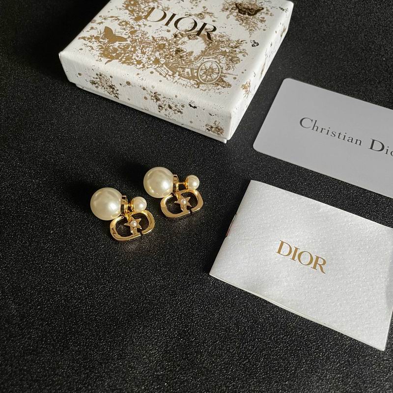 Dior Earring 05yxh29 (1)