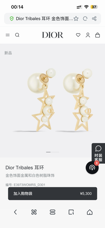 Dior Earring 05yxh43 (1)