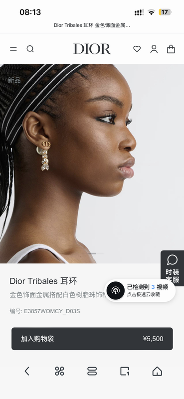 Dior Earring 05yxh53 (6)