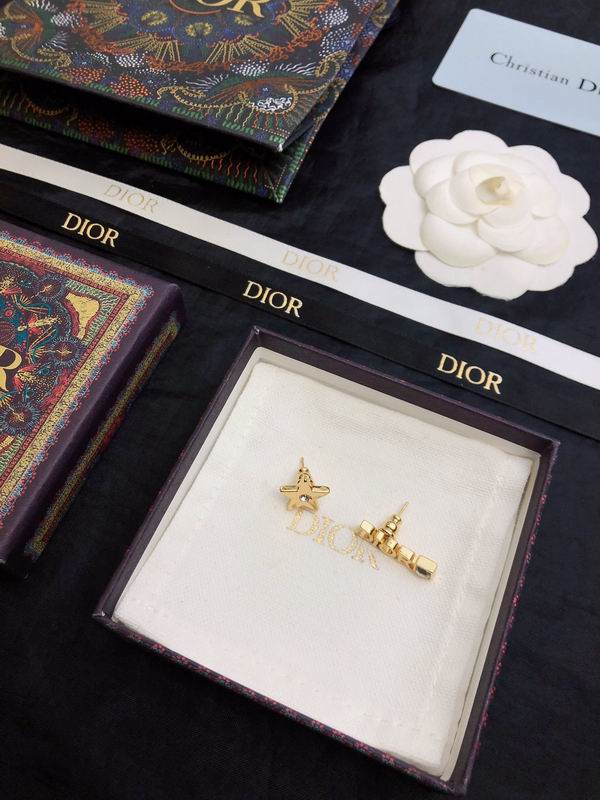 Dior Earring 05yxh54 (1)