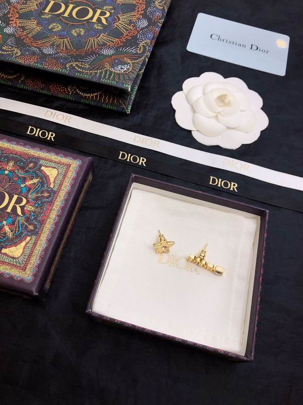 Dior Earring 05yxh54 (3)
