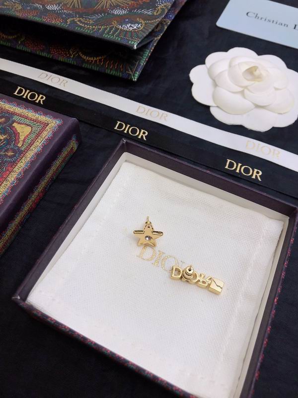Dior Earring 05yxh54 (5)