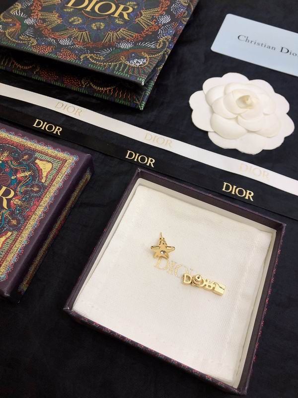 Dior Earring 05yxh54 (6)