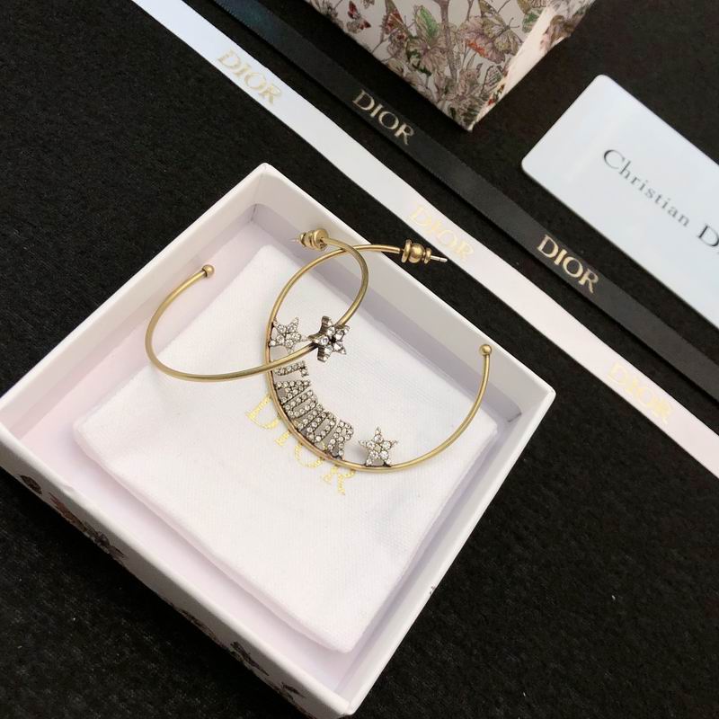 Dior Earring 05yxh55 (3)