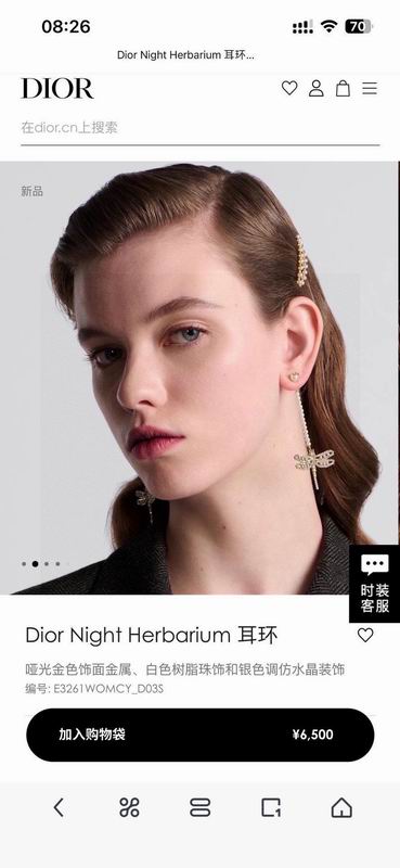 Dior Earring 05yxh66 (5)