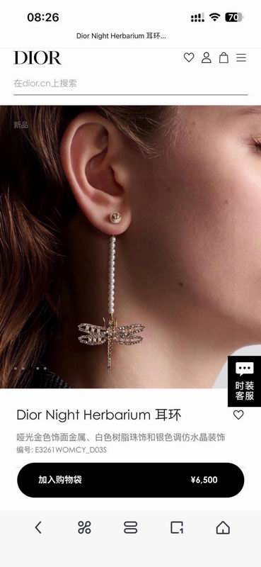 Dior Earring 05yxh66 (6)