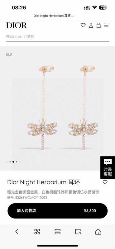 Dior Earring 05yxh66 (7)