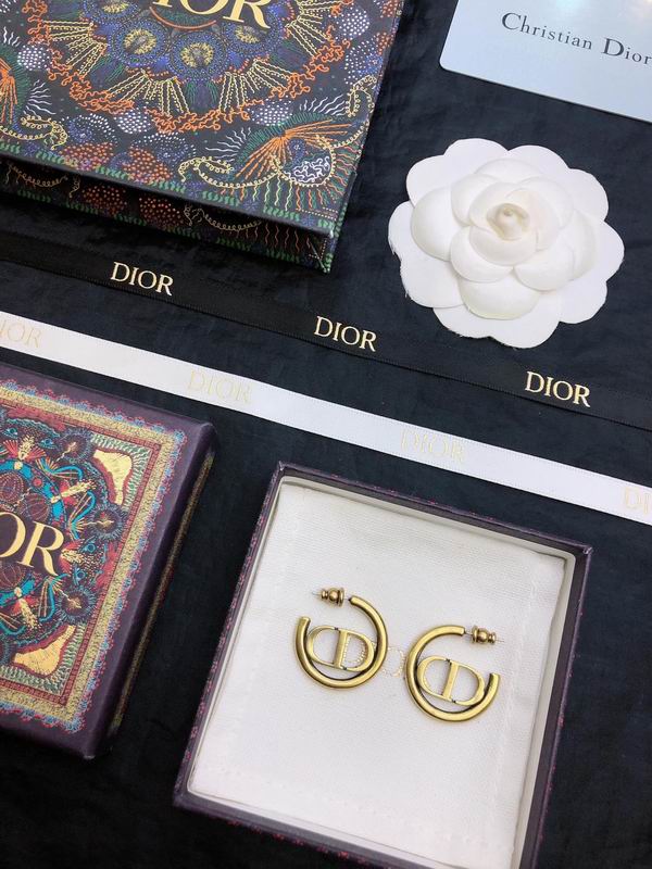 Dior Earring 05yxh68 (2)