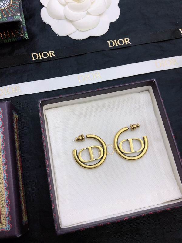 Dior Earring 05yxh68 (3)