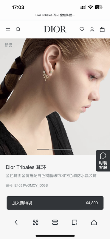 Dior Earring 05yxh82 (2)