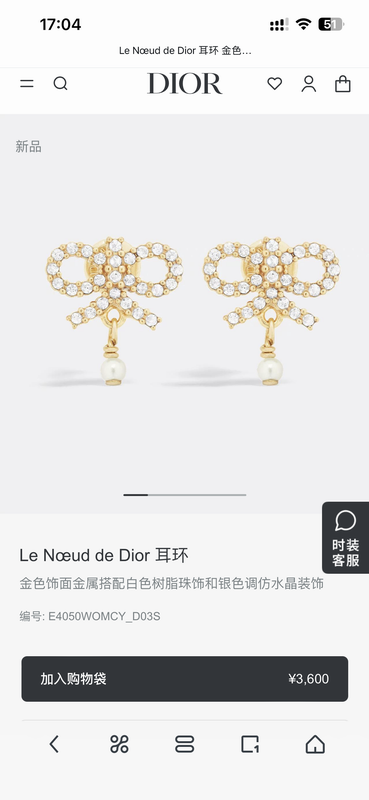 Dior Earring 05yxh83 (3)