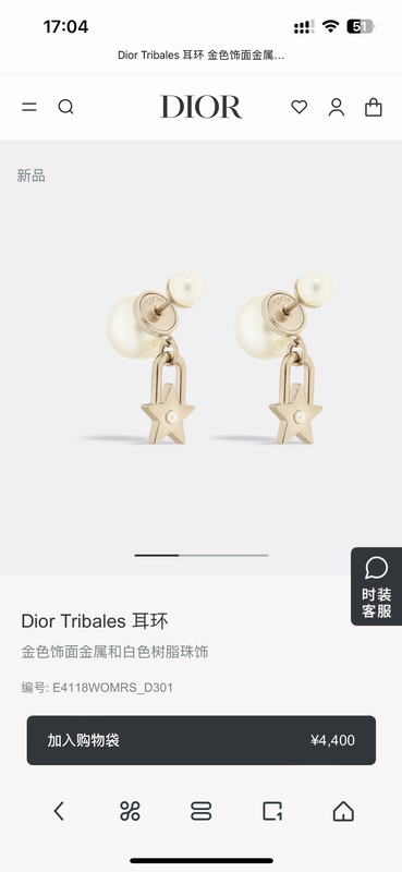 Dior Earring 05yxh84 (1)