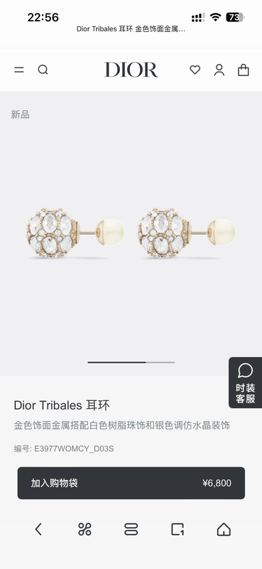 Dior Earring 05yxh85 (1)