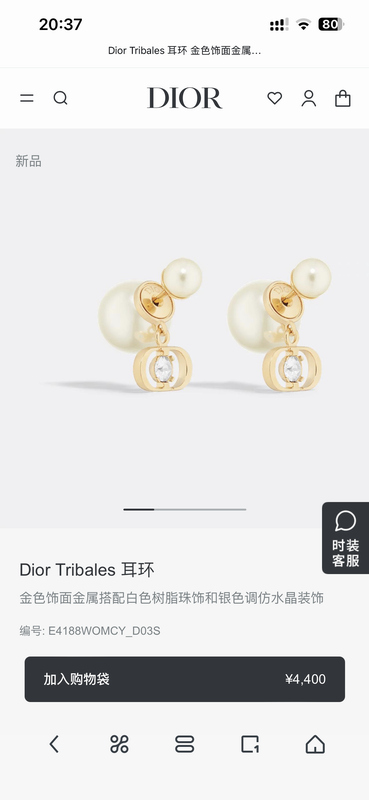 Dior Earring 05yxh93 (5)