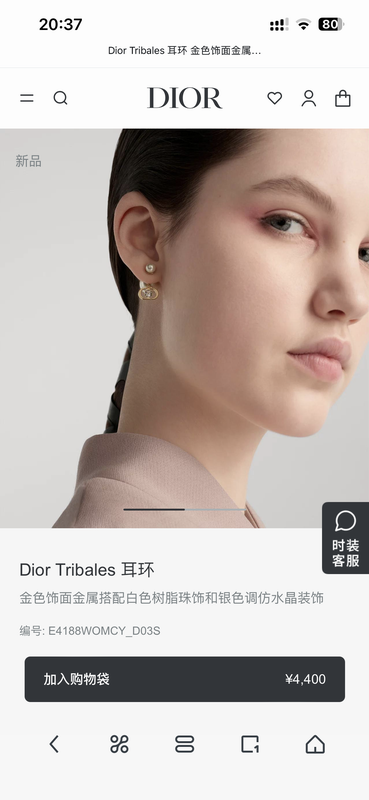 Dior Earring 05yxh93 (6)