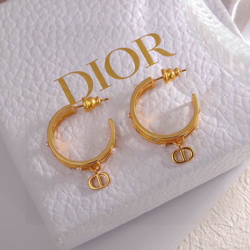 Dior Earring 06yxh05 (6)