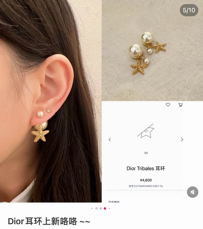 Dior Earring 07yxh02 (6)