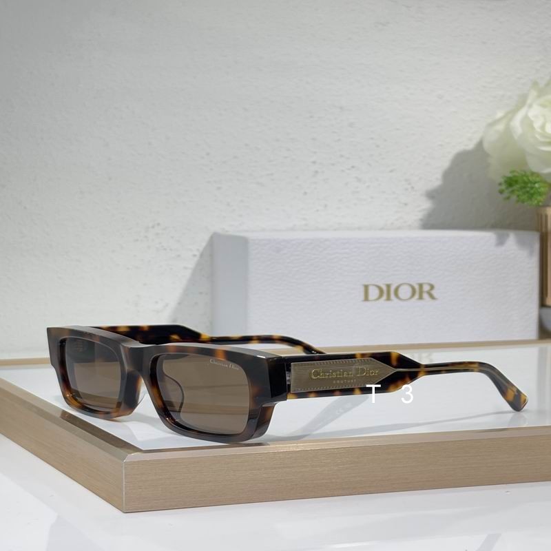 Dior Label 52 20-145 c04
