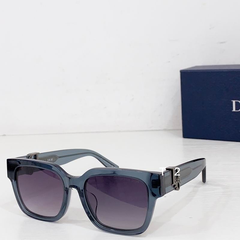 Dior Oblique 53-19-145 b04