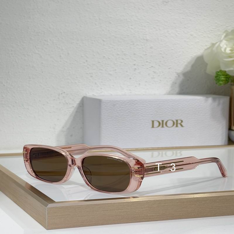 Dior S12F 53 21-145 c02