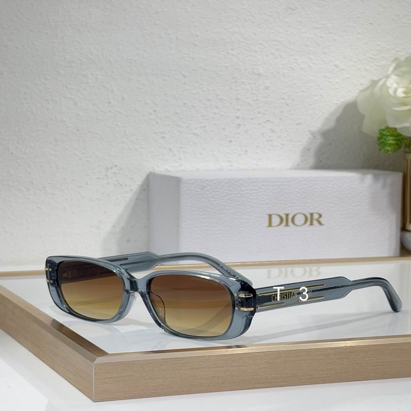 Dior S12F 53 21-145 c04