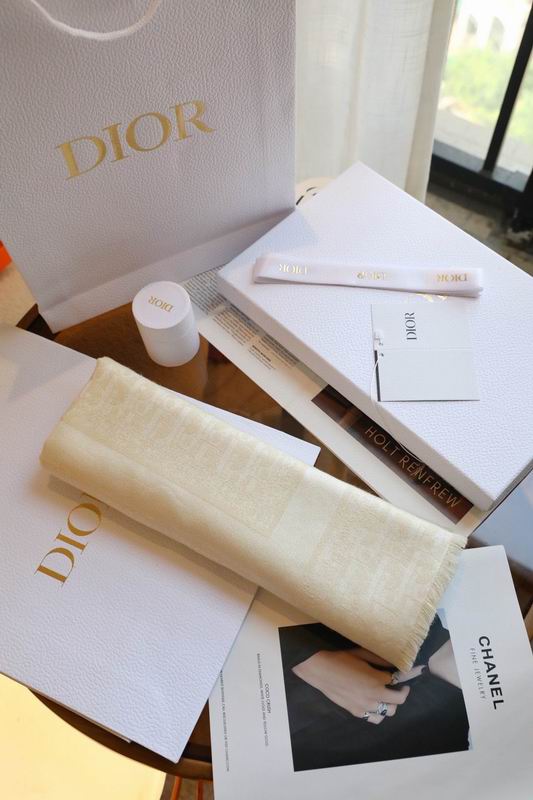 Dior Scarf E (19)