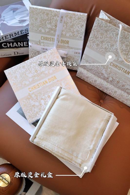 Dior Scarf E (20)