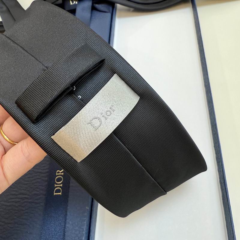 Dior Tie hm (102)