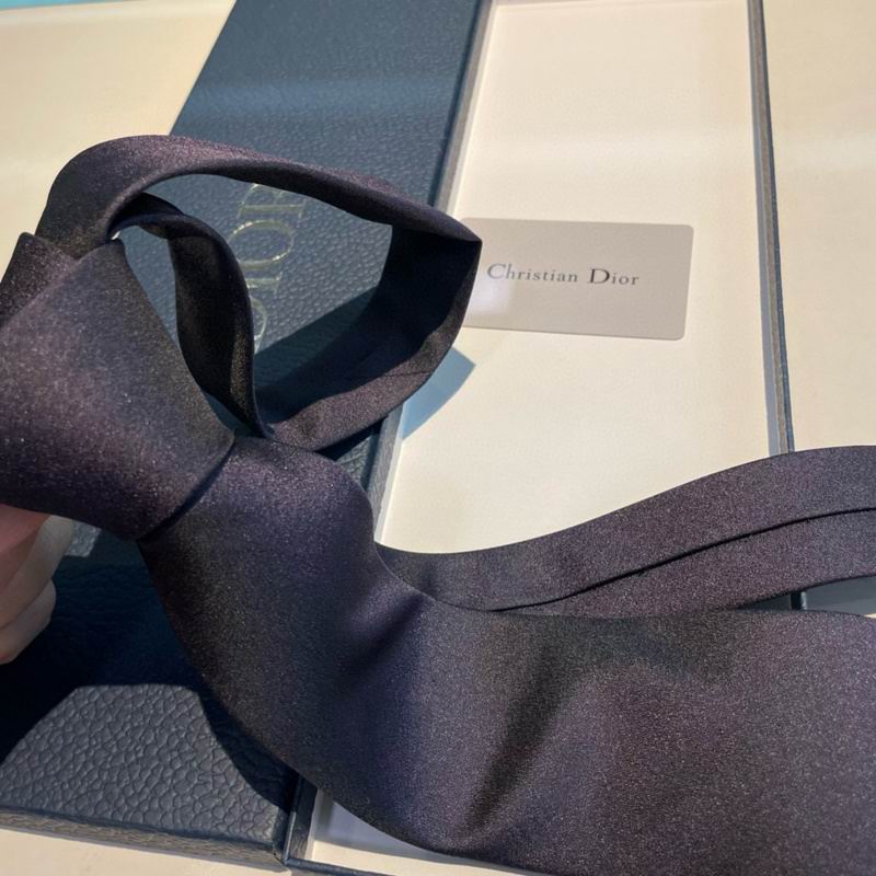 Dior Tie hm (113)