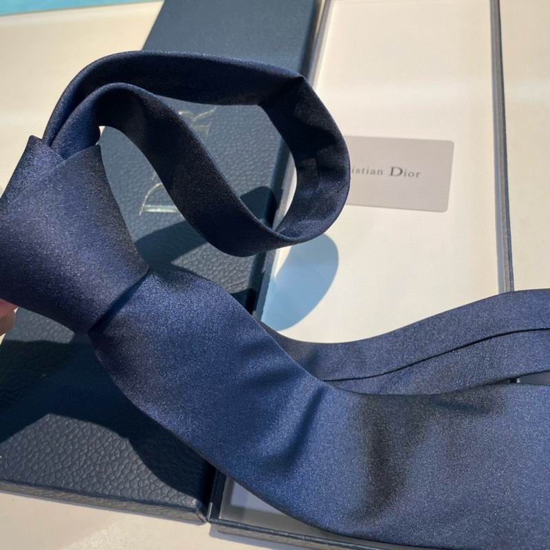 Dior Tie hm (128)