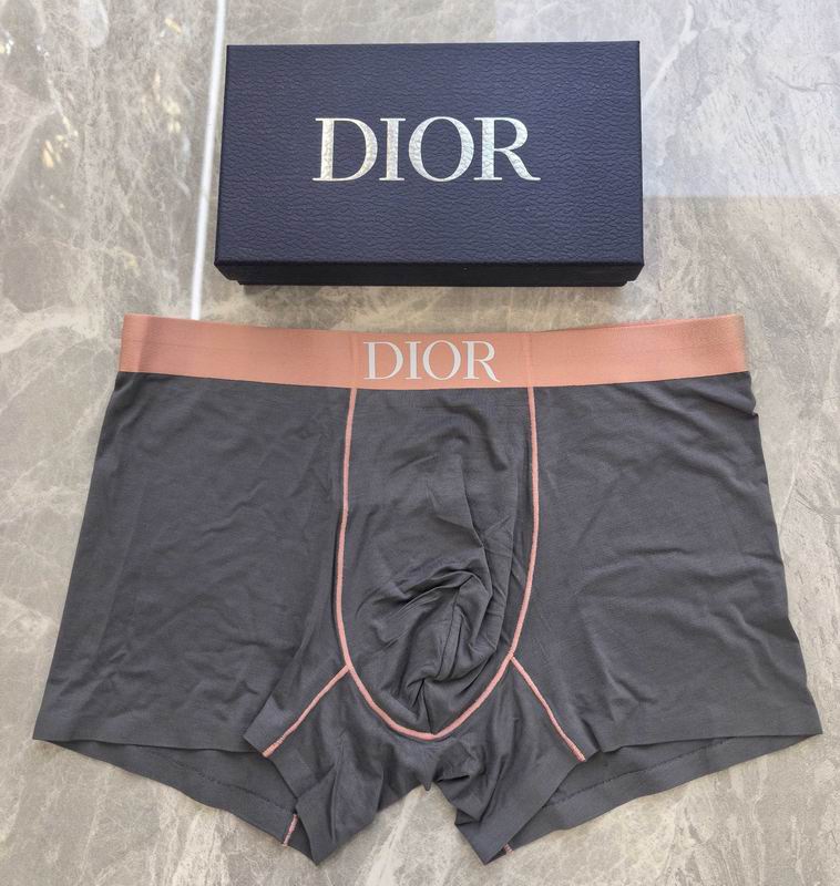 Dior boxer L-4XL 07 (6)