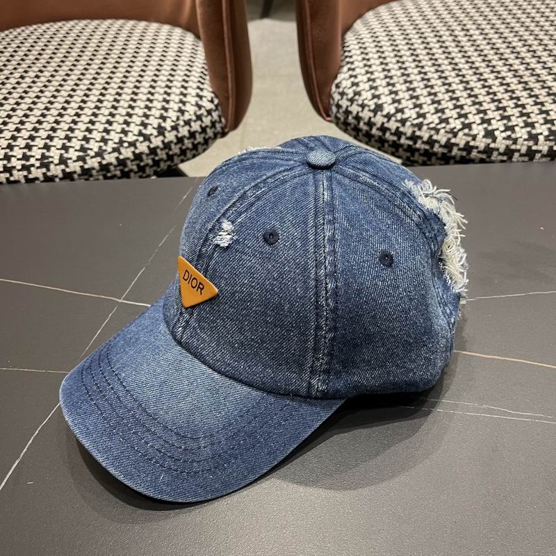 Dior cap (100)