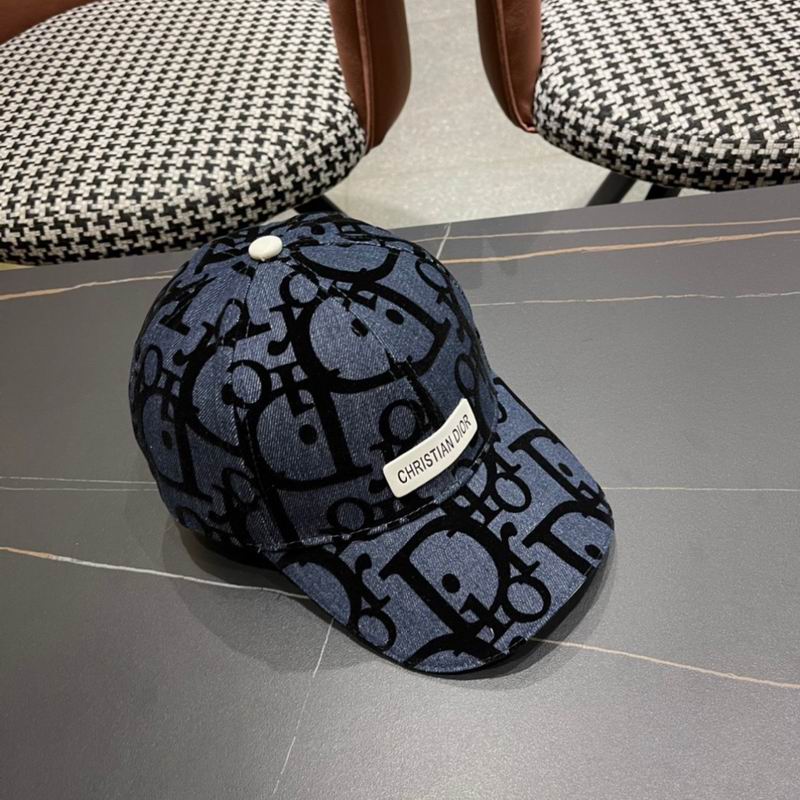 Dior cap (161)