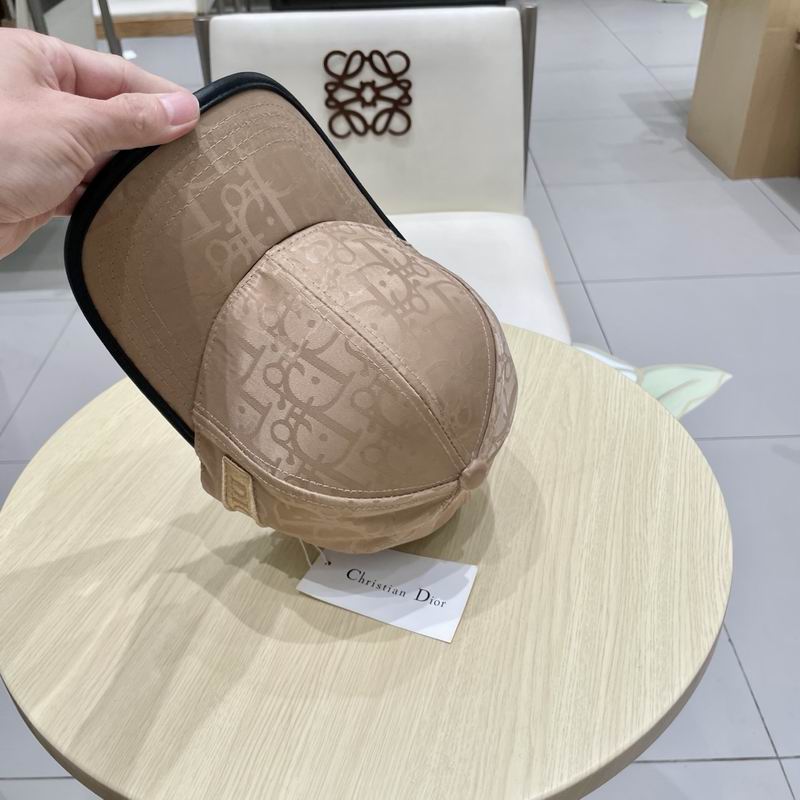 Dior cap (76)