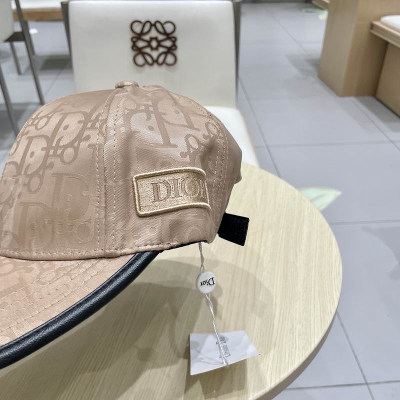 Dior cap (78)