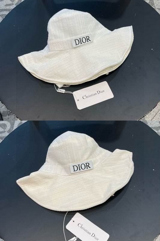 Dior hat (121)