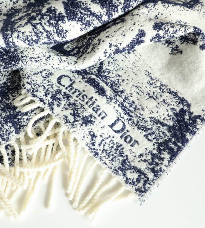Dior scarf 45X190cm E (31)