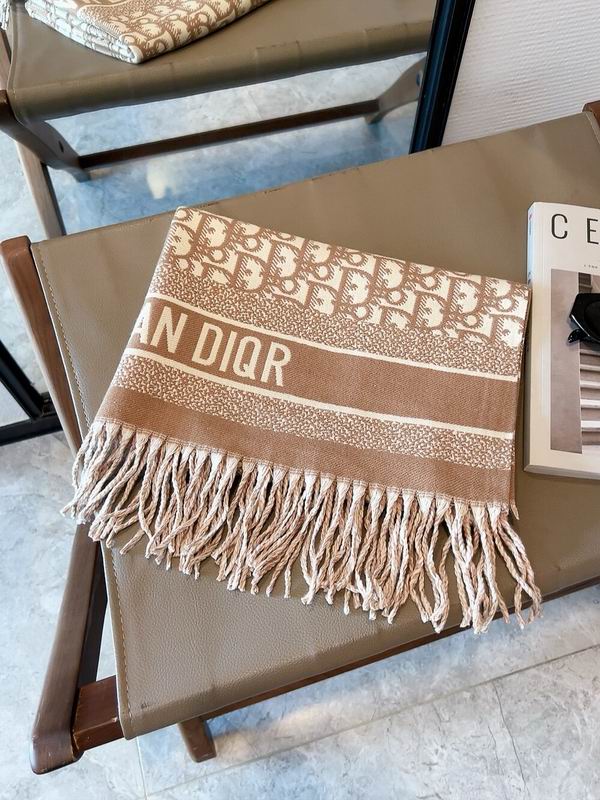 Dior scarf 50X180cm  100%羊毛 E (21)