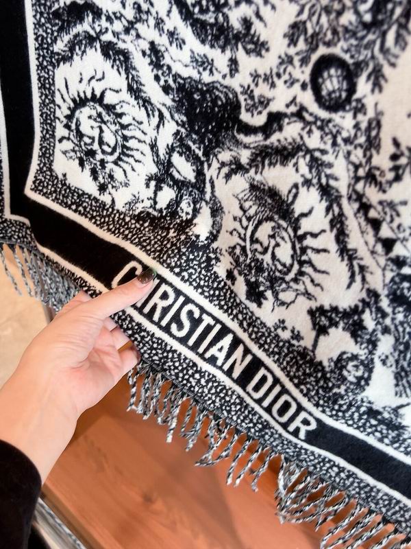 Dior scarf 50X180cm  100%羊毛 E (4)