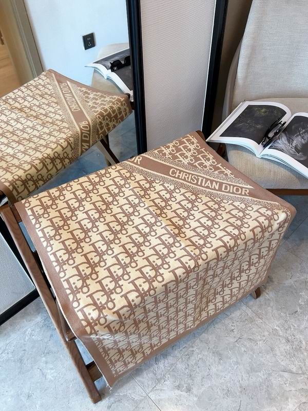 Dior scarf 65X180cm  E (3)