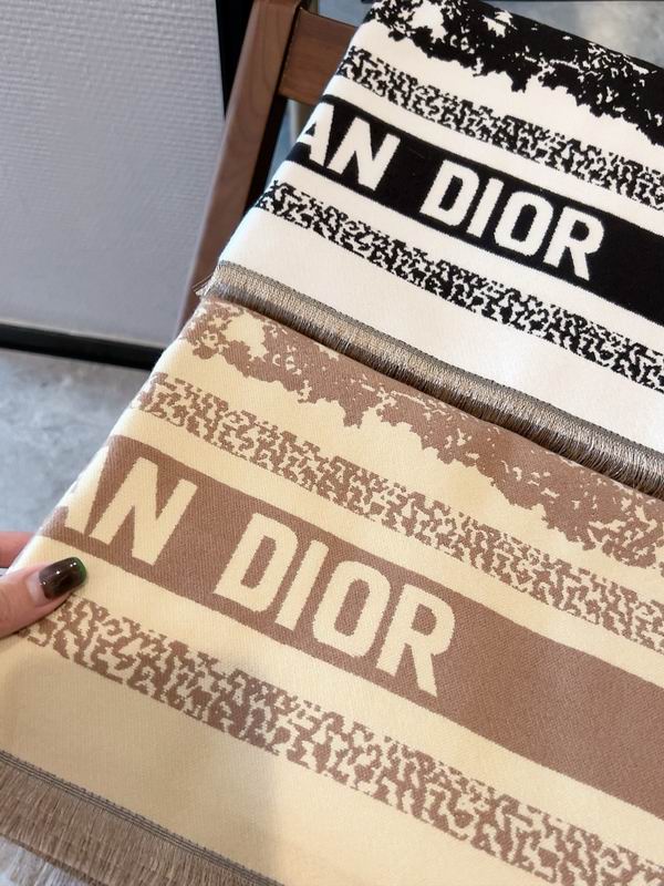 Dior scarf 65X180cm  E (6)